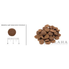 ACANA HERITAGE SPORT & AGILITY для собак с высокой активностью