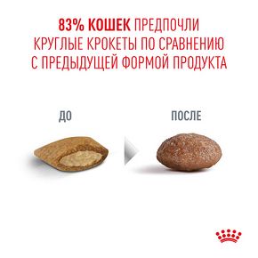 ROYAL CANIN AGEING 11+ (Роял Канин Эджеинг) Корм для стареющих кошек старше 12 лет