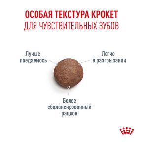 ROYAL CANIN AGEING 11+ (Роял Канин Эджеинг) Корм для стареющих кошек старше 12 лет