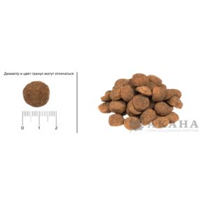 ACANA HERITAGE PUPPY LARGE BREED (Акана Паппи Ладж Брид) для щенков крупных пород
