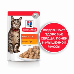 Hills SP Science Plan Feline Adult Chicken (с курицей) - паучи 0,085 гр