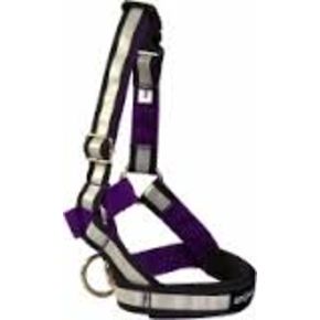 AMI PLAY Недоуздок Shine XXL (N6) Deutsche Dogger 26-50 [a] x 56-75 [b] x 2 cm