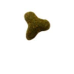 Bosch Totally Ferret® Active - для взрослых хорьков от 1 года