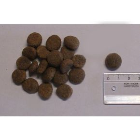 Bavaro Solid 20/8 (Баваро Солид) базовое питание для пожилых и/или малоактивных собак всех пород