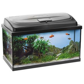 Аквариум AQUARIUM CLASSIC SET 100 RECT. + 115138