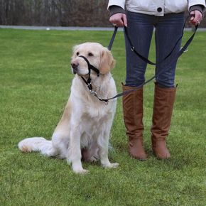 Шлея TRIXIE для дрессировки Top Trainer Training Harness