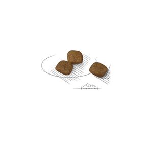 Сухой корм ROYAL CANIN Mini Coat Care - для собак с тусклой и сухой шерстью