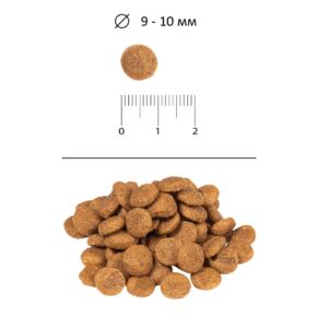 BLITZ Classic Mini & Toy Breeds Dog All Life Stages (Блиц МИНИ ТОЙ Чикен) Курица - корм для собак мелких и миниатюрных пород всех возрастов