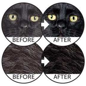Natures Protection NP SP Superior Care Dark Cats Grain Free беззерновой корм для кошек с темным окрасом