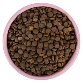 Wanpy Cat Grain Free Adult Salmone - Сухой корм беззерновой с лососем для взрослых кошек