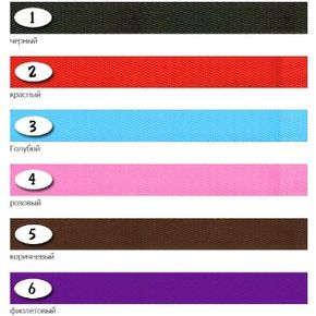 AMI PLAY Oшейник регулируемый Basic XL 45-70/2,5cm